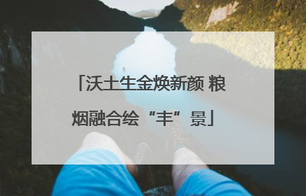 沃土生金焕新颜 粮烟融合绘“丰”景