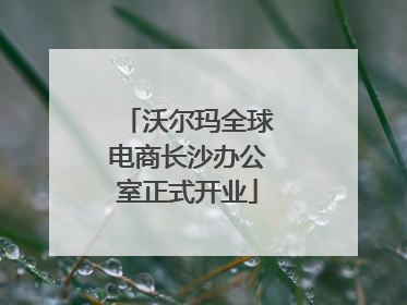 沃尔玛全球电商长沙办公室正式开业