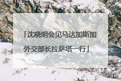 沈晓明会见马达加斯加外交部长拉萨塔一行