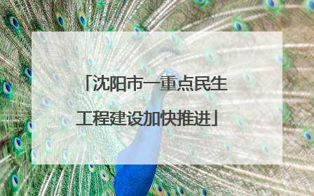 沈阳市一重点民生工程建设加快推进