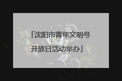 沈阳市青年文明号开放日活动举办