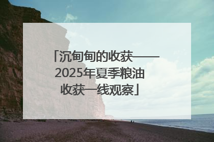 沉甸甸的收获——2025年夏季粮油收获一线观察