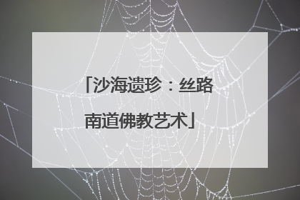 沙海遗珍：丝路南道佛教艺术