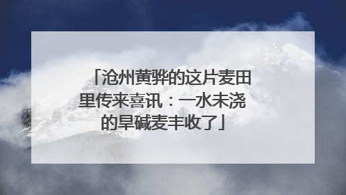 沧州黄骅的这片麦田里传来喜讯：一水未浇的旱碱麦丰收了