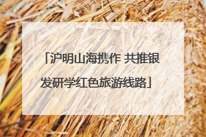 沪明山海携作 共推银发研学红色旅游线路