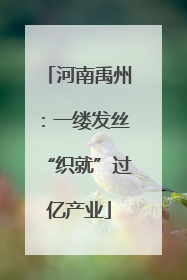 河南禹州：一缕发丝“织就”过亿产业