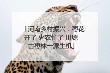 河南乡村振兴：枣花开了 枣农忙了 川塬古枣林一派生机