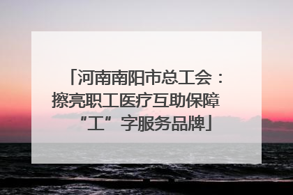 河南南阳市总工会：擦亮职工医疗互助保障“工”字服务品牌