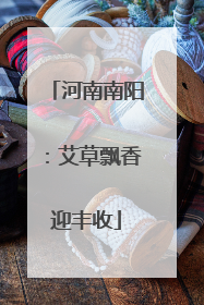 河南南阳：艾草飘香迎丰收