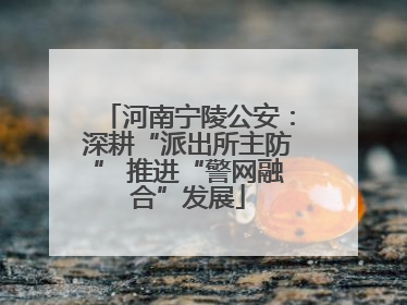 河南宁陵公安：深耕“派出所主防” 推进“警网融合”发展