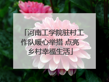 河南工学院驻村工作队暖心举措 点亮乡村幸福生活