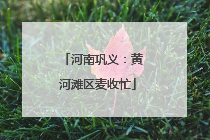 河南巩义：黄河滩区麦收忙