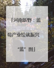 河南新野：蓝莓产业绘就振兴“蓝”图