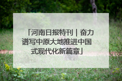 河南日报特刊｜奋力谱写中原大地推进中国式现代化新篇章