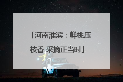河南淮滨：鲜桃压枝香 采摘正当时