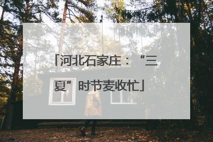 河北石家庄：“三夏”时节麦收忙