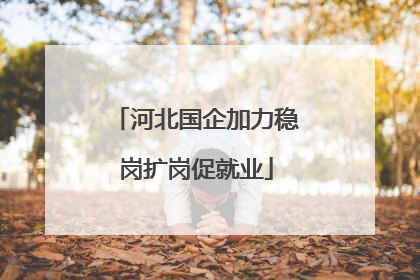 河北国企加力稳岗扩岗促就业