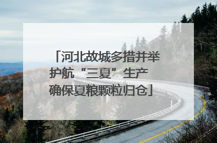 河北故城多措并举护航“三夏”生产 确保夏粮颗粒归仓