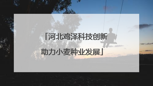 河北鸡泽科技创新助力小麦种业发展