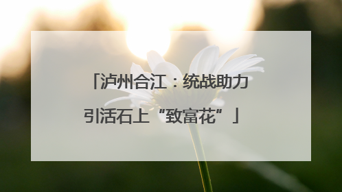 泸州合江：统战助力引活石上“致富花”