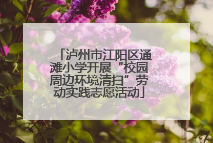 泸州市江阳区通滩小学开展“校园周边环境清扫”劳动实践志愿活动