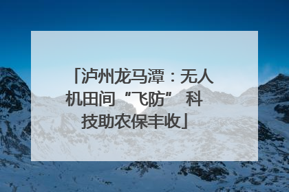 泸州龙马潭：无人机田间“飞防” 科技助农保丰收