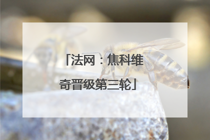 法网：焦科维奇晋级第三轮