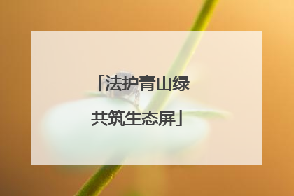 法护青山绿 共筑生态屏