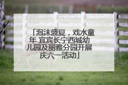 泡沫盛夏，戏水童年 宜宾长宁西城幼儿园及丽雅分园开展庆六一活动