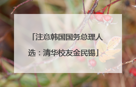 注意韩国国务总理人选：清华校友金民锡