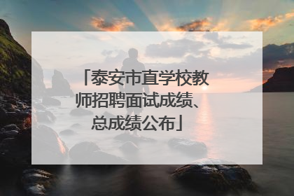 泰安市直学校教师招聘面试成绩、总成绩公布