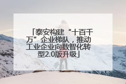 泰安构建“十百千万”企业梯队，推动工业企业向数智化转型2.0版升级