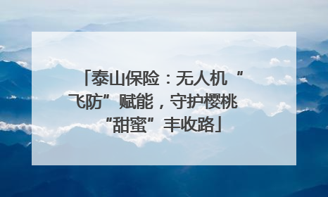 泰山保险：无人机“飞防”赋能，守护樱桃“甜蜜”丰收路