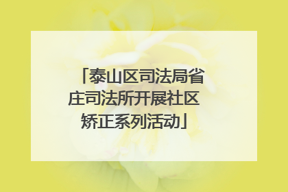 泰山区司法局省庄司法所开展社区矫正系列活动