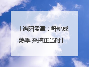 洛阳孟津：鲜桃成熟季 采摘正当时