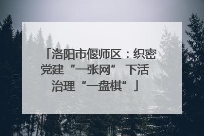 洛阳市偃师区：织密党建“一张网” 下活治理“一盘棋”