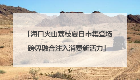 海口火山荔枝夏日市集登场 跨界融合注入消费新活力