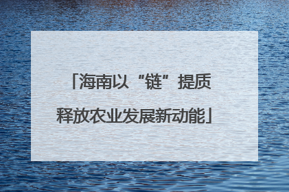 海南以“链”提质 释放农业发展新动能