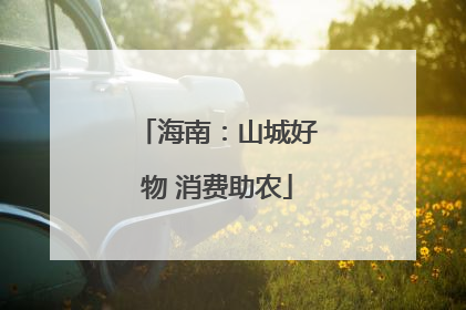 海南：山城好物 消费助农