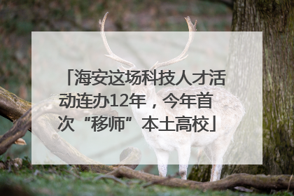 海安这场科技人才活动连办12年，今年首次“移师”本土高校
