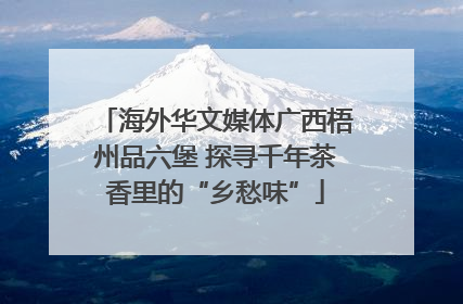 海外华文媒体广西梧州品六堡 探寻千年茶香里的“乡愁味”
