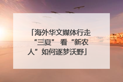 海外华文媒体行走“三夏” 看“新农人”如何逐梦沃野
