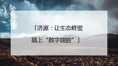 济源：让生态蜂蜜插上“数字翅膀”