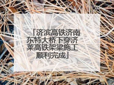 济滨高铁济南东特大桥下穿济莱高铁架梁施工顺利完成
