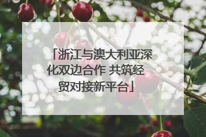 浙江与澳大利亚深化双边合作 共筑经贸对接新平台