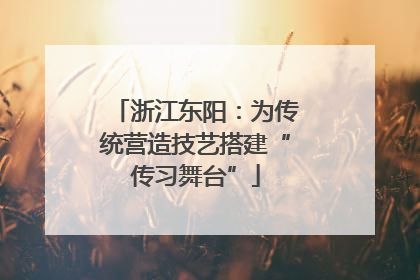 浙江东阳：为传统营造技艺搭建“传习舞台”