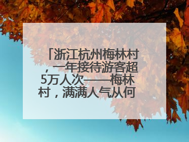 浙江杭州梅林村，一年接待游客超5万人次——梅林村，满满人气从何来（经济新方位·农村消费观察）