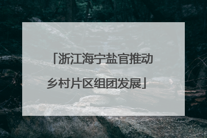 浙江海宁盐官推动乡村片区组团发展