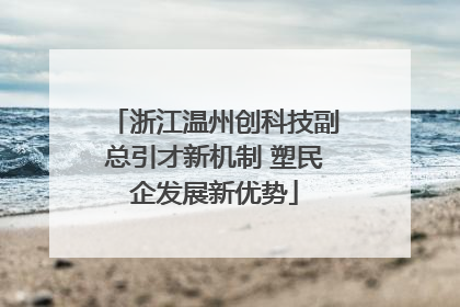 浙江温州创科技副总引才新机制 塑民企发展新优势