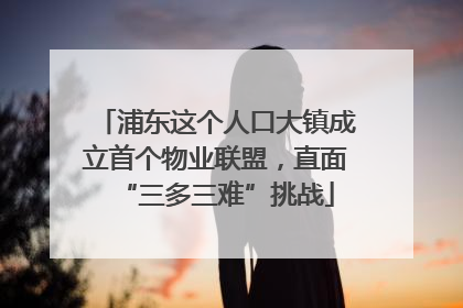 浦东这个人口大镇成立首个物业联盟，直面“三多三难”挑战